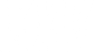 XXV.png