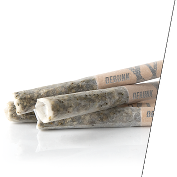 DE_24K_PREROLL.png
